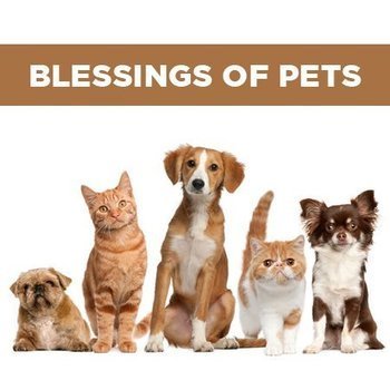 Pet Blessing 